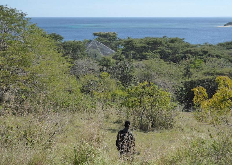 Trek to the Bali Starling Sanctuary, Bali Barat