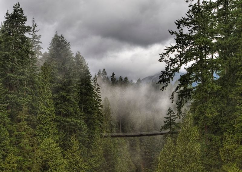 Capilano Suspension Bridge, Vancouver