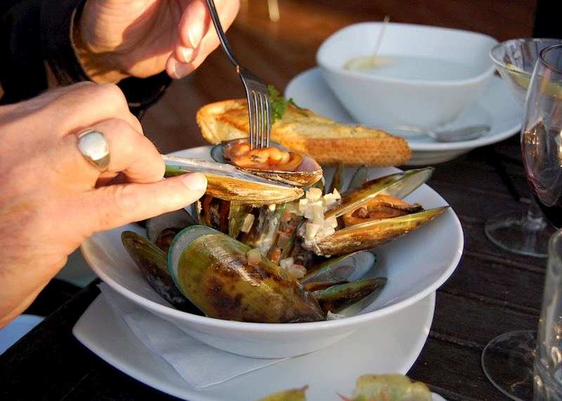 Freshly caught New Zealand mussels