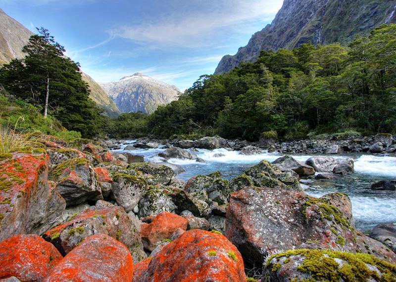 River on the Hollyford Track, New Zealand