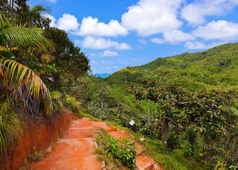 Vallée de Mai, Praslin Island, Seychelles