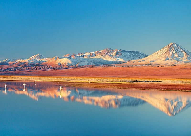 Atacama Desert, Chile