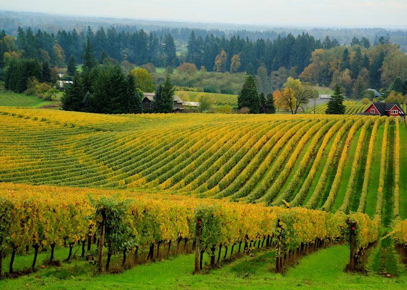 Willamette Valley Oregon