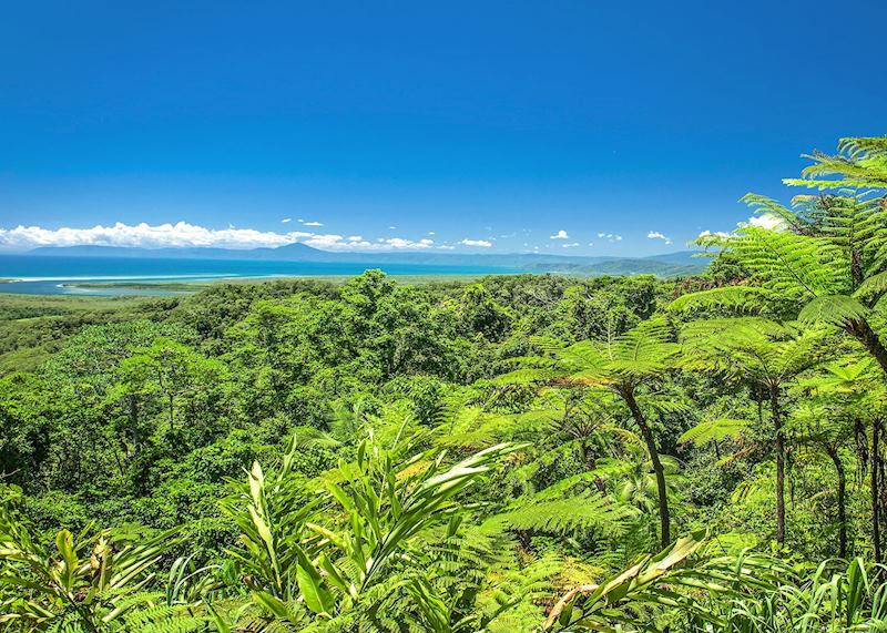 Cape Tribulation