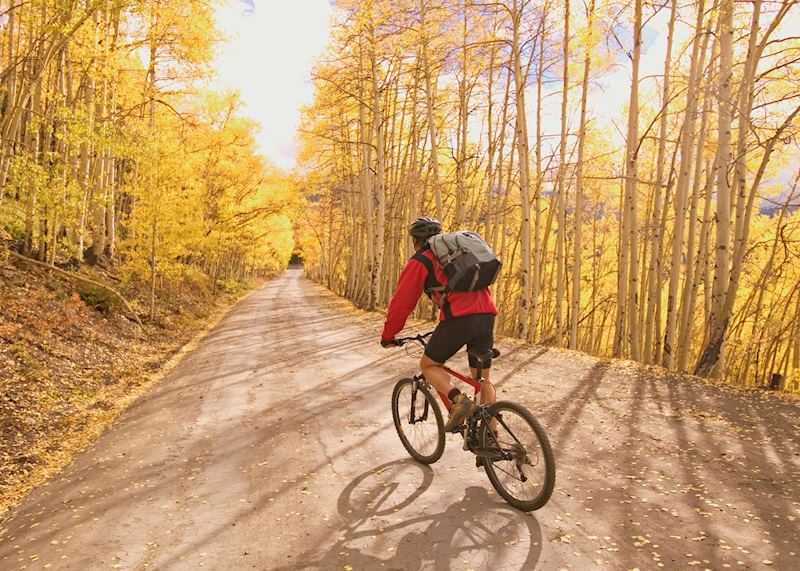 Mountain biking near Aspen