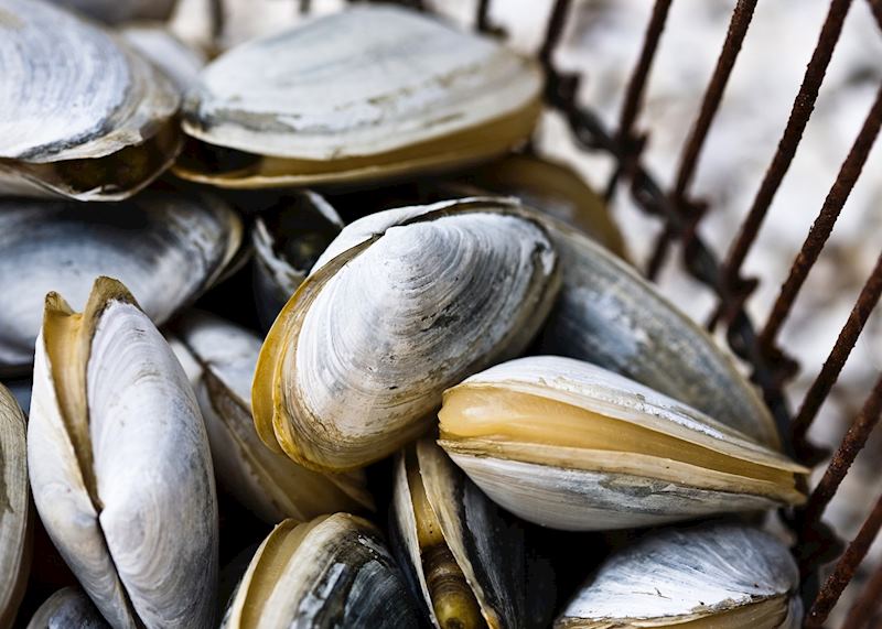 Cape Cod clams