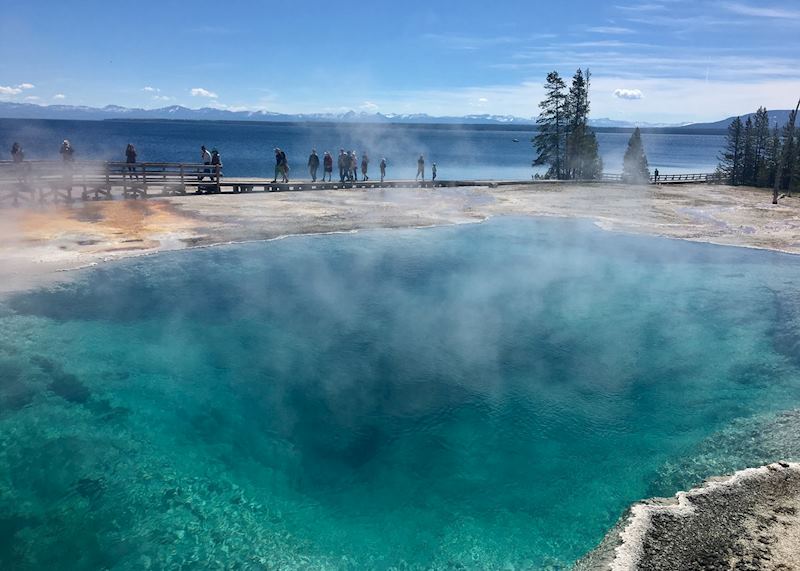Thermal pools Yellowstone