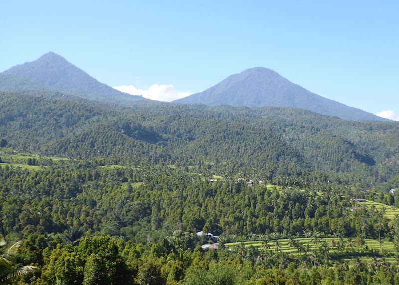 Scenery around Munduk