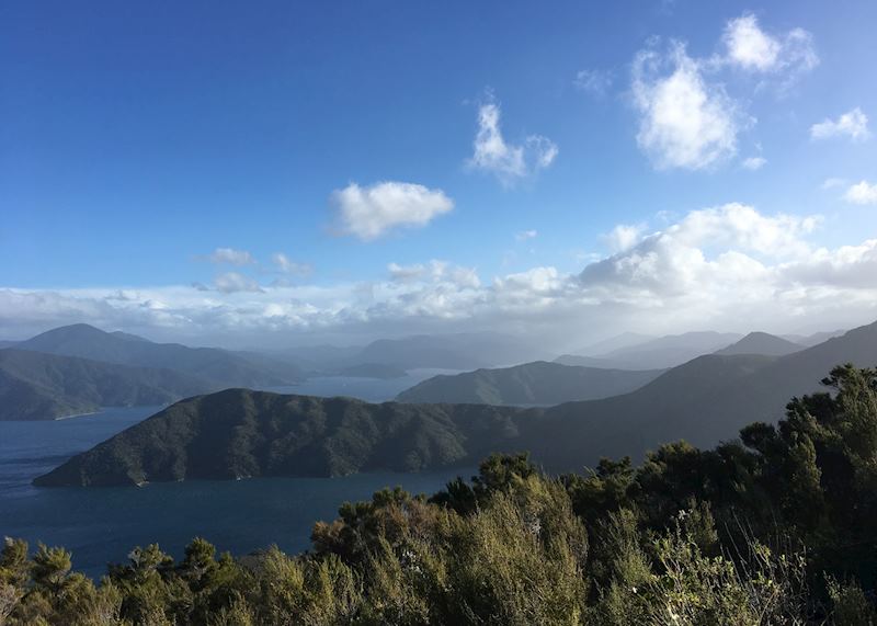 Landscape view of Marlborough Sounds