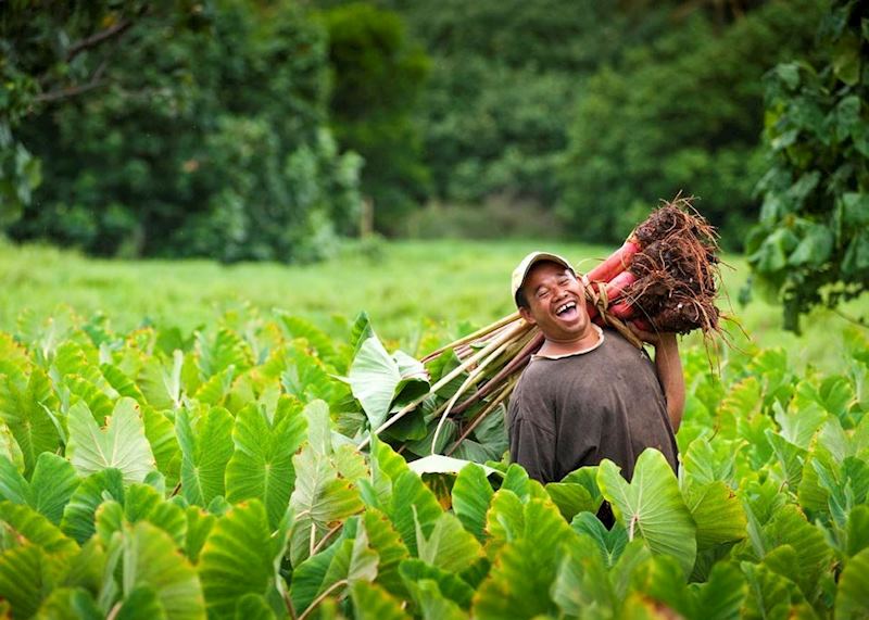 Local Man, Cook Islands
