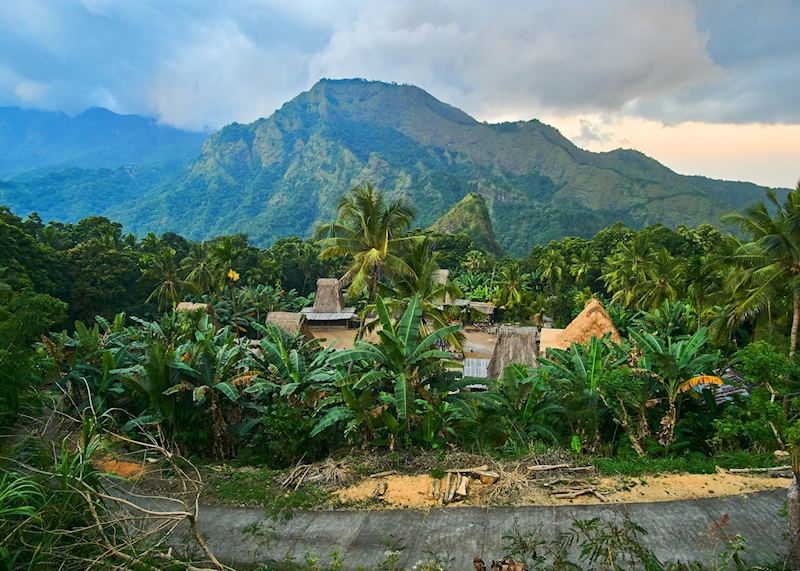 Local village, Flores