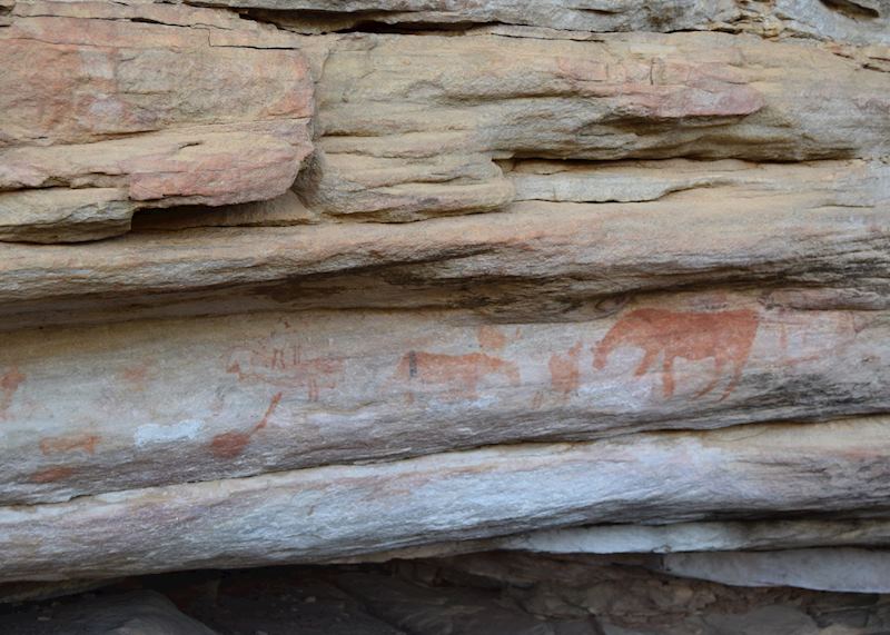 Bushman paintings at Bushmans Kloof
