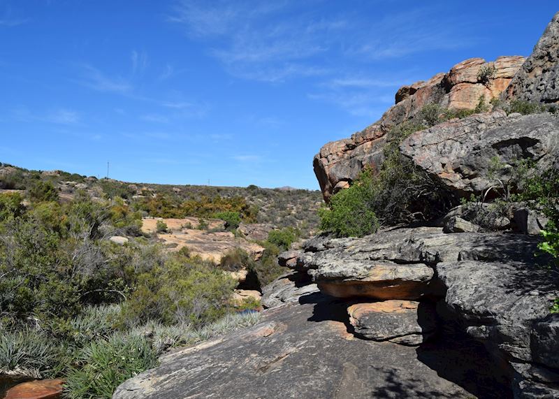 Bushmans Kloof Nature Reserve 