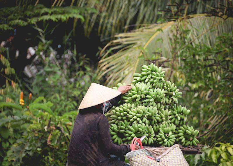 Mekong Delta Scene