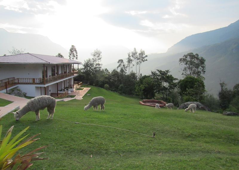 Rooms, Gocta Andes Lodge