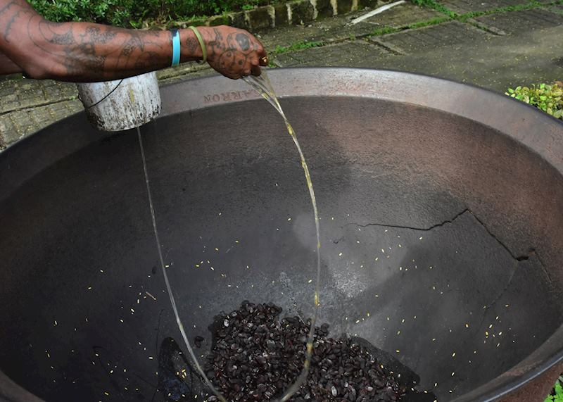 Plantation Tour, Fond Doux, Saint Lucia