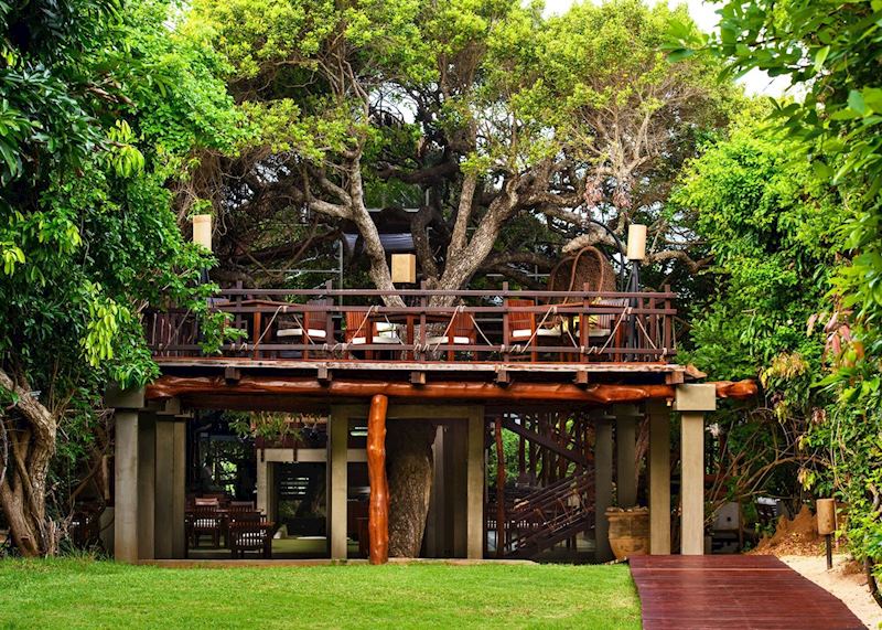 Jungle Beach Cabin