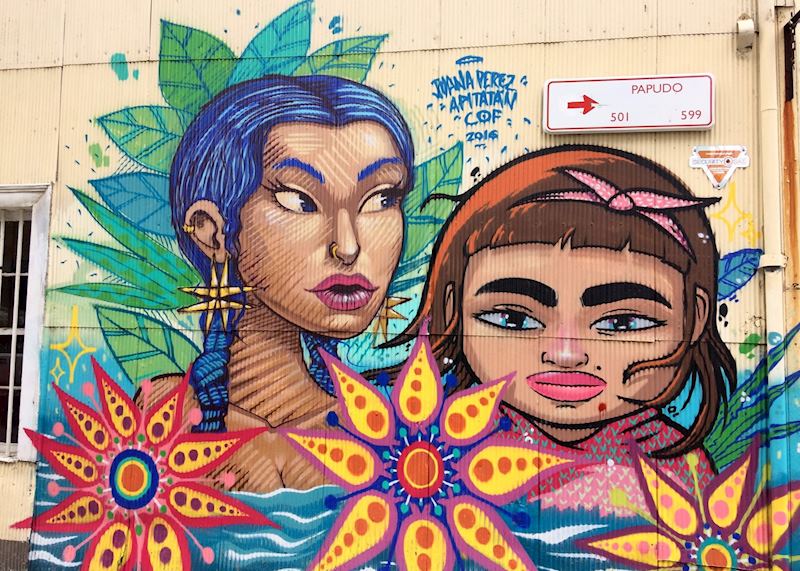 Street Art in Valparaiso