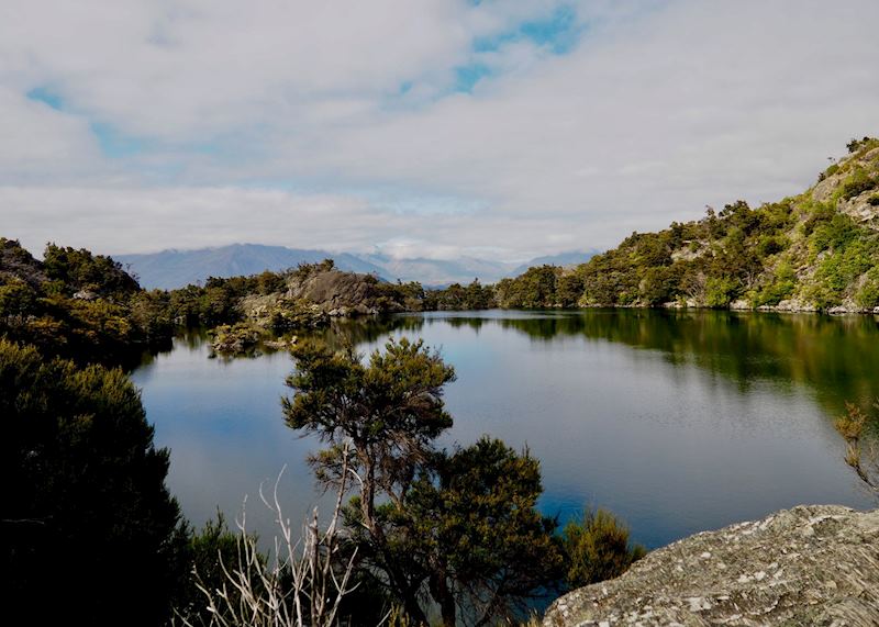 Mou Waho Island Lake Cruise & Guided Nature Walk , Wanaka