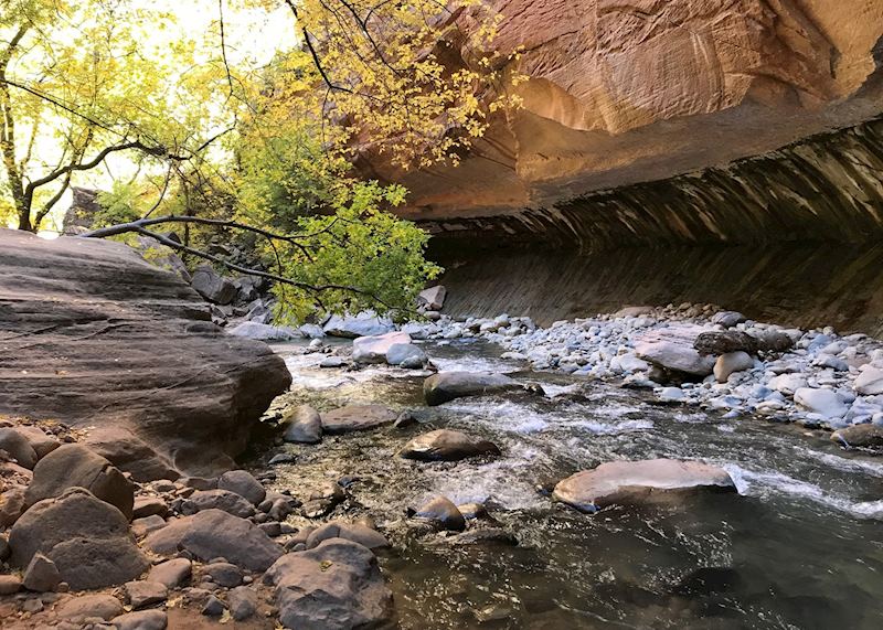 Virgin River Narrows, Zion, UT