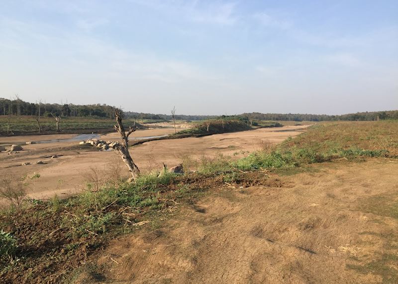 Pench National Park