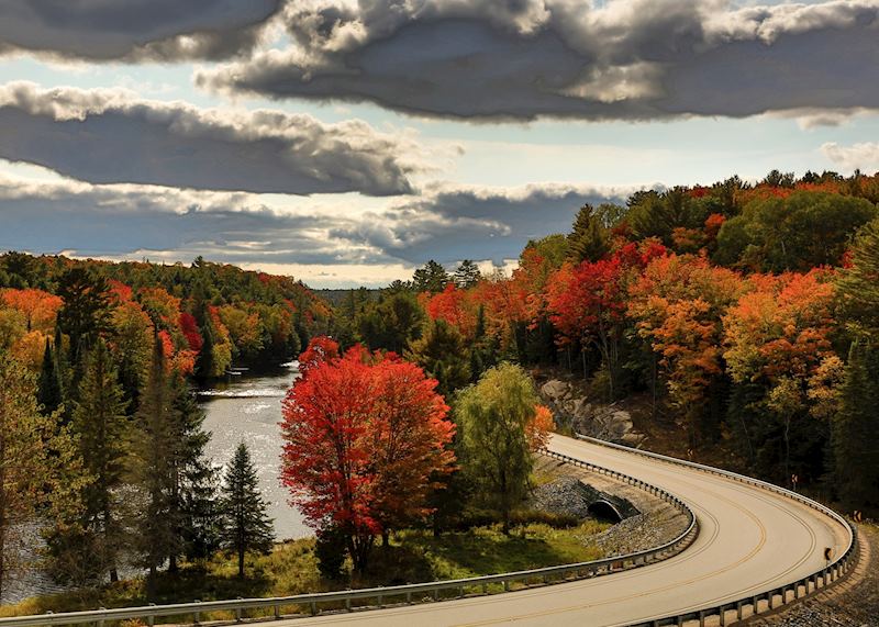 Fall colours in Muskoka