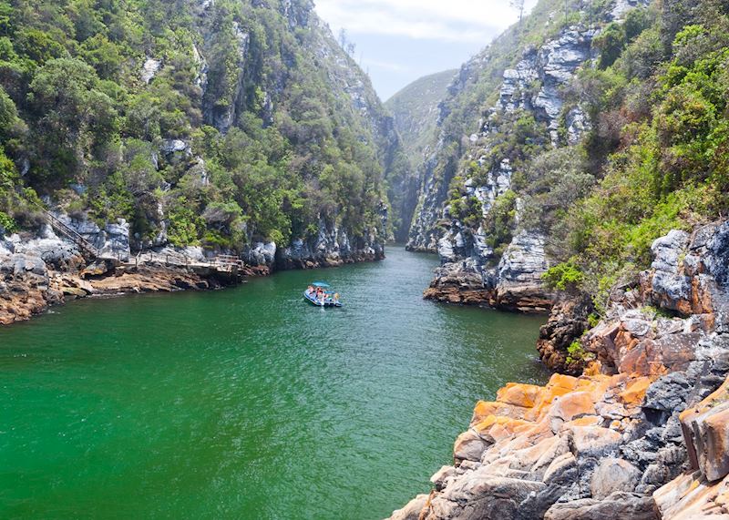 The Tsitsikamma National Park, South Africa