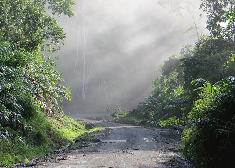 Deramakot Forest Reserve