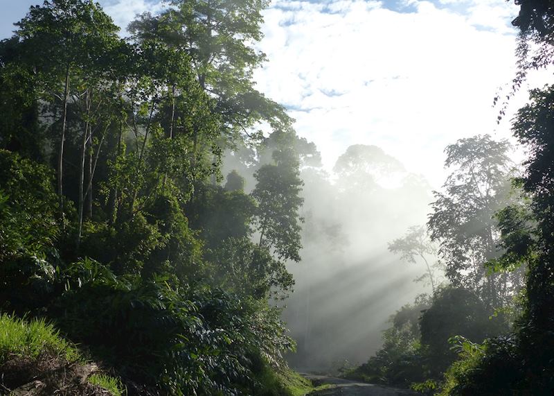 Deramakot Forest Reserve