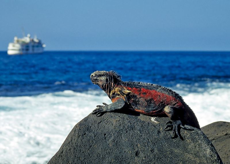 Galapagos Islands, Ecuador