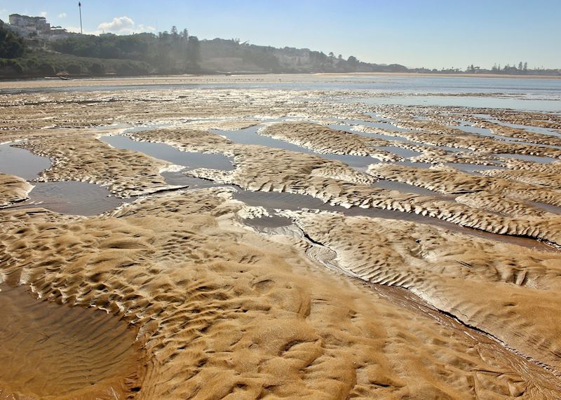 Low tide in Oualidia's harbor offers the opportunity to explore tidal pools and wander further out from the water line