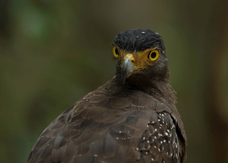 Wilpattu National Park