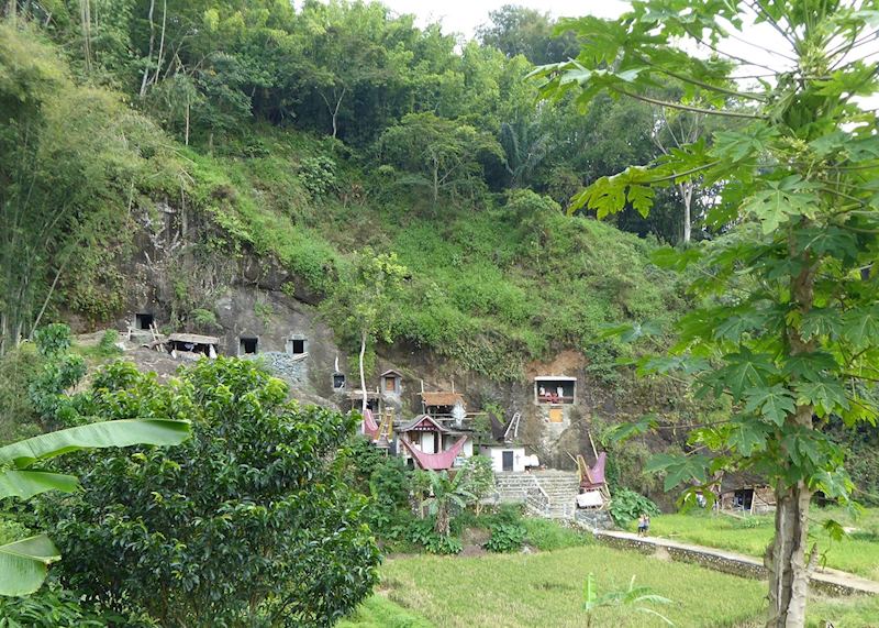 Cliff burial site of Lemo