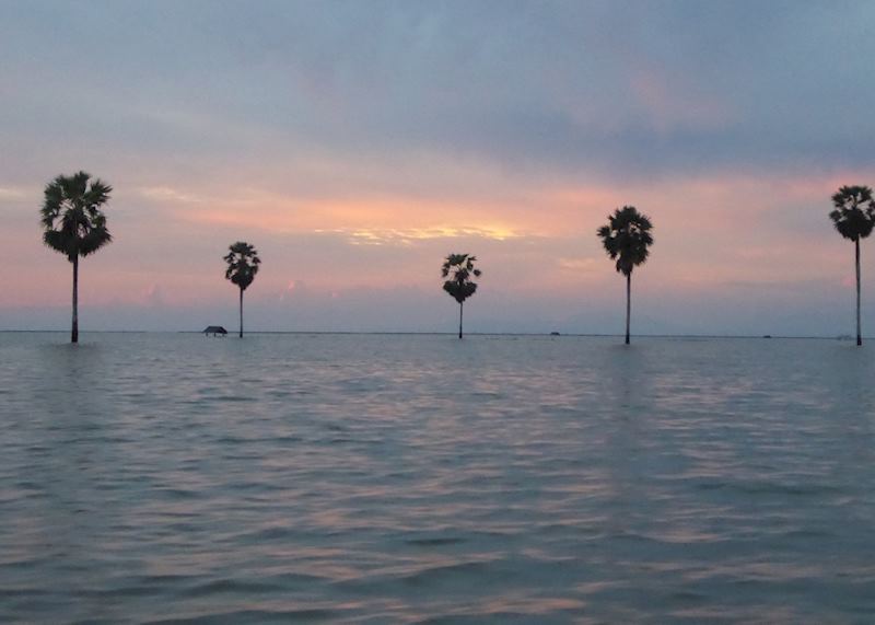 Sunset on Lake Tempe, Sengkang