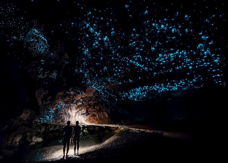 Waitomo Glow-worm Caves