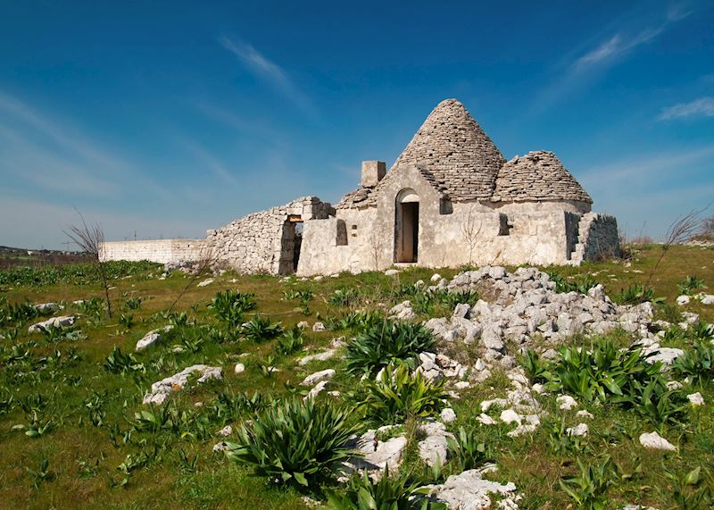Ancient trulli, Fasano