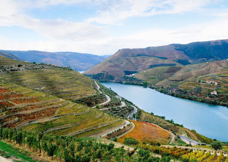 Vineyards, Douro Valley