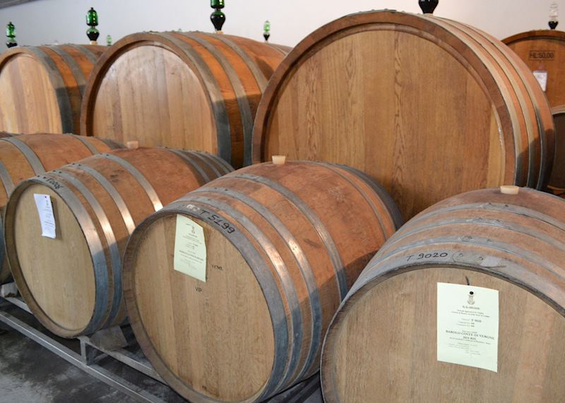 Barrels of wine, Vajra winery