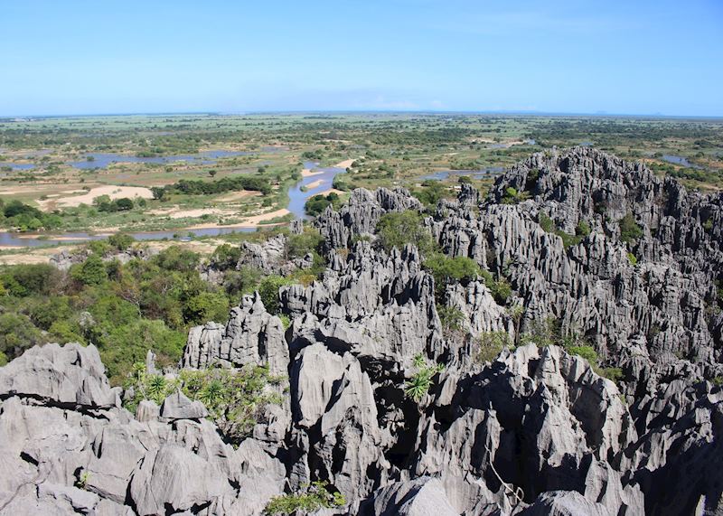 Limestone tsingy, Ankarana