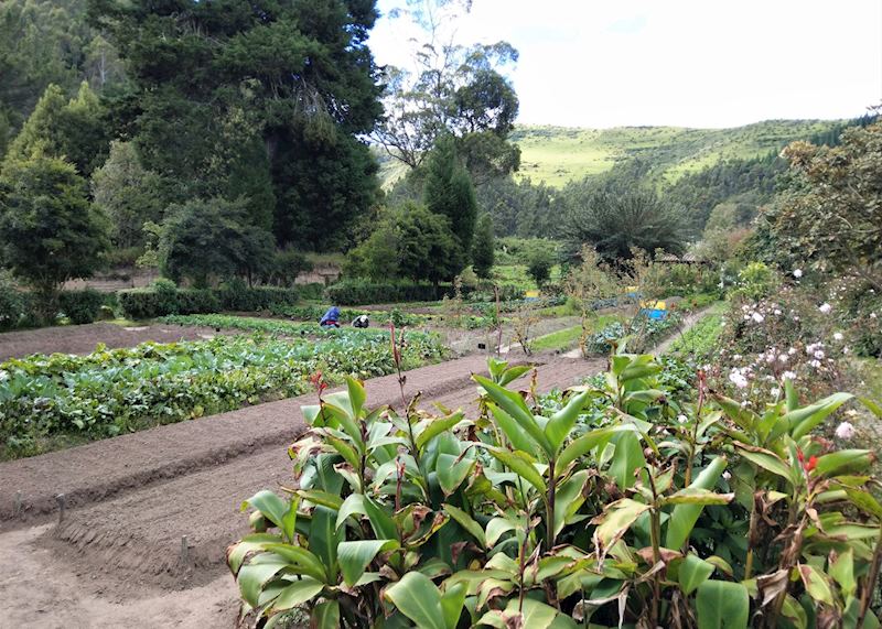 Hacienda Zuleta, Hacienda Zuleta