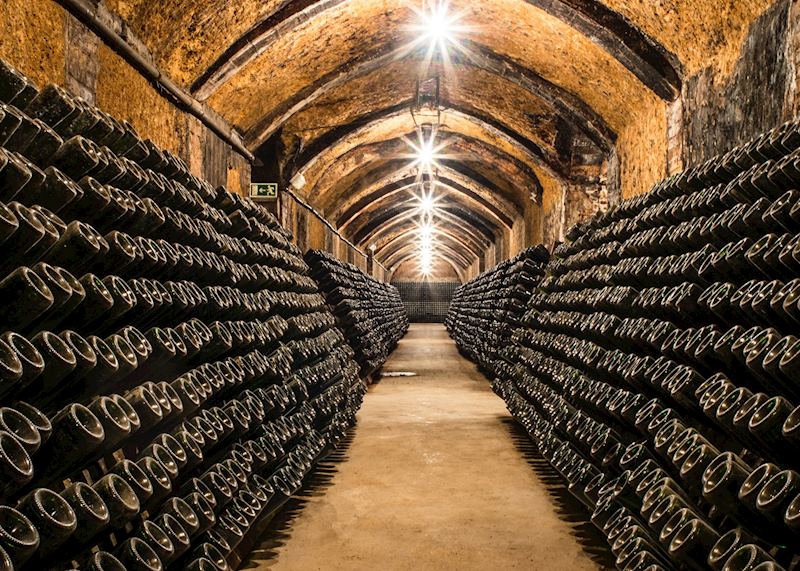 Cava cellars, Penedès wine region