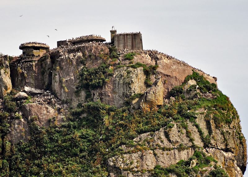 World War II Remains in Resurrection Bay