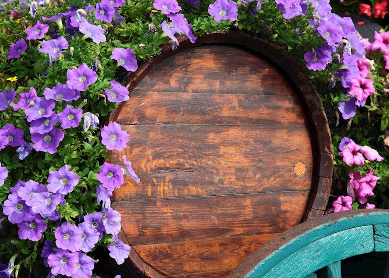 Barrels in Beaujolais, France