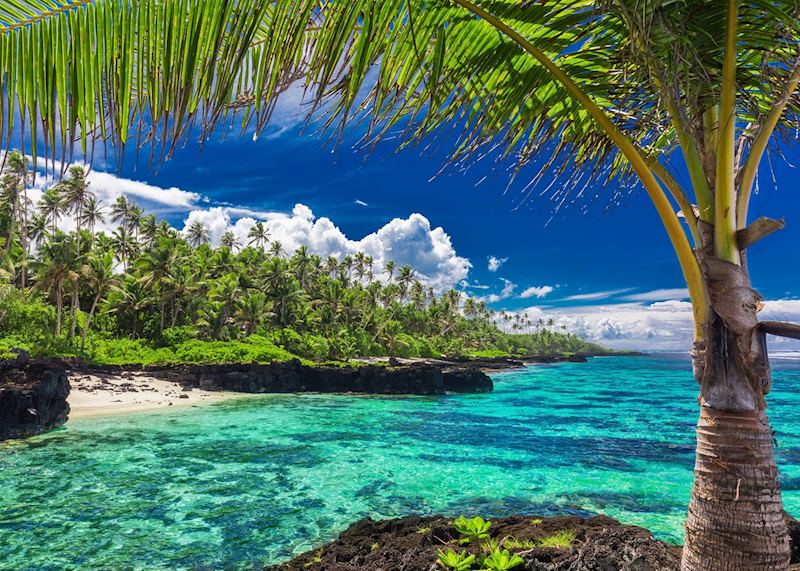 Upolu coral reef