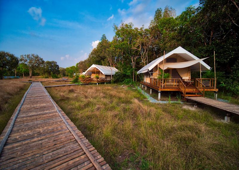 Cardamom tented camp, Koh Kong area