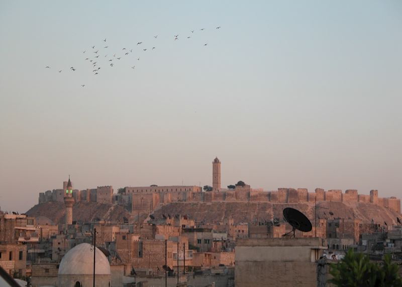 The Rooftops Of Old Aleppo And The Citadel