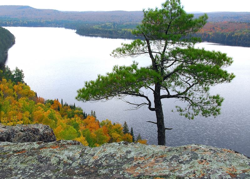 Algonquin Provincial Park, Canada