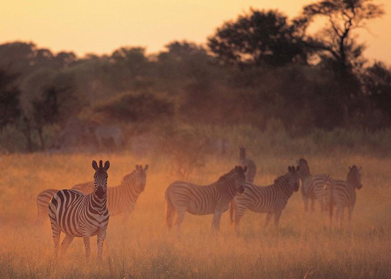 Dawn in the Nxabega Concession