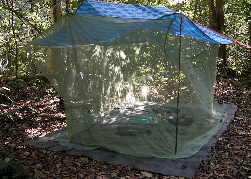 Picnic in the Jungle at the Khao Yai National Park, Thailand