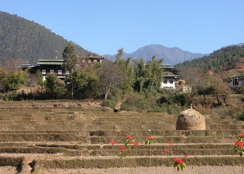 Punakha Valley